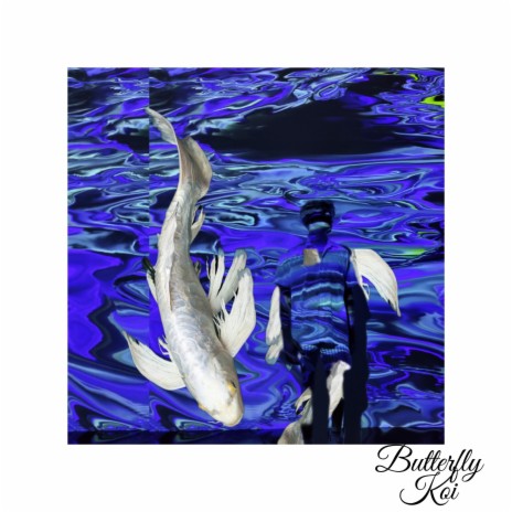 Butterfly Koi | Boomplay Music