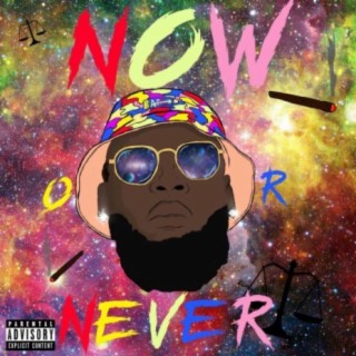 The Now or Never Project.