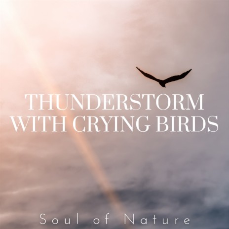 Relaxing Storm with Birds | Boomplay Music