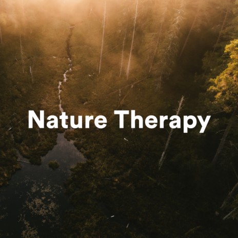 Melodies in the Night ft. Sounds of Nature for Deep Sleep and Relaxation & Relajación Natural Maestro | Boomplay Music