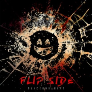 Flipside