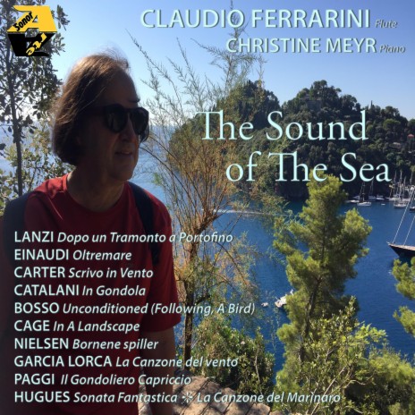 Omaggio a Ezio Bosso: Unconditioned Following A Bird Seagulls: I. Allegro (Arr. per flauto solo Claudio Ferrarini) | Boomplay Music