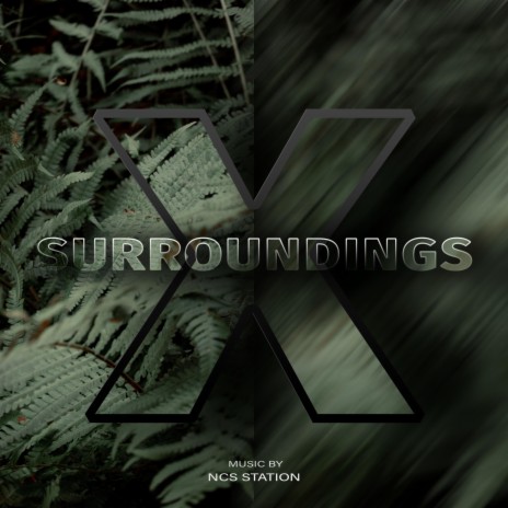 Surroudings | Boomplay Music