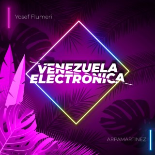 Venezuela Electrónica