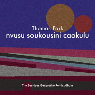 nvusu soukousini caokulu - The SeeHear Generative Remix Album