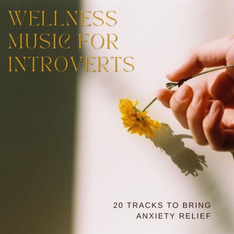Lullaby for Introverts | Boomplay Music