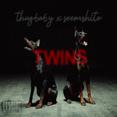 twins ft. seemshite | Boomplay Music