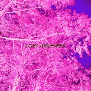 lost archives