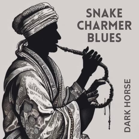 Snake Charmer Blues | Boomplay Music