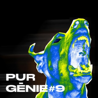 Pur Génie #9 (Parano)