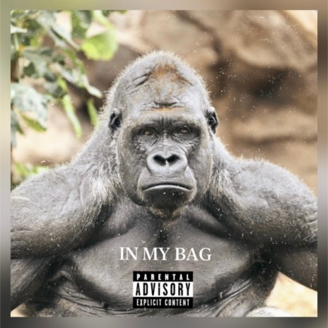IN MY BAG ft. Tony Dean | Boomplay Music