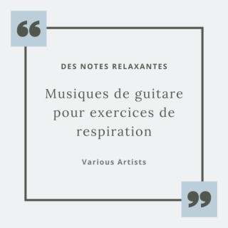 Musiques de guitare pour exercices de respiration: Des notes relaxantes quand on est stressé avant une réunion, un exam ou un rendez-vous