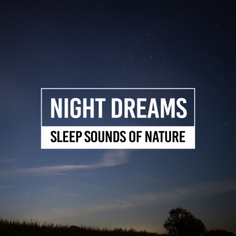 Rain Sounds For Relaxing Sleeping (Original Mix) | Boomplay Music