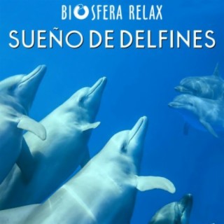 Sueño de Delfines