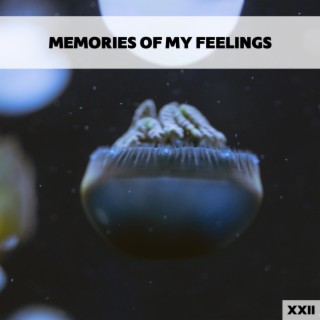 Memories Of My Feelings XXII