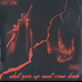 What Goes Up Must Come Down EP