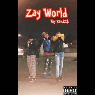 Zay World