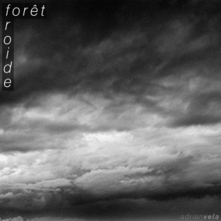 forêt froide