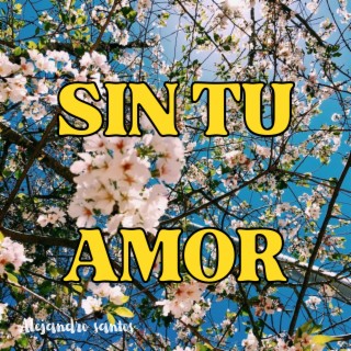 Sin tu amor