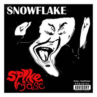 SNOWFLAKE lyrics | Boomplay Music