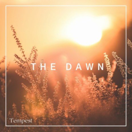 The Dawn | Boomplay Music