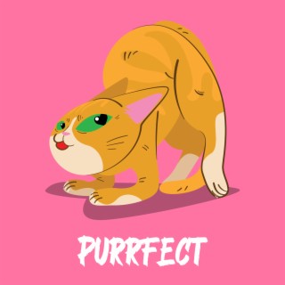 Purrfect