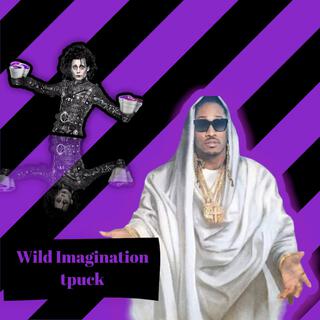 Wild Imagination