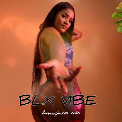 BLX VIBE - Amapiano mix