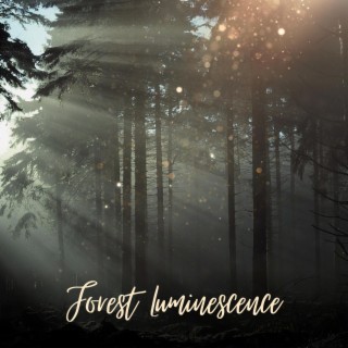 Forest Luminescence