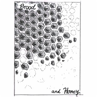 brood & honey