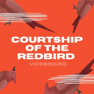 Courtship of the Redbird