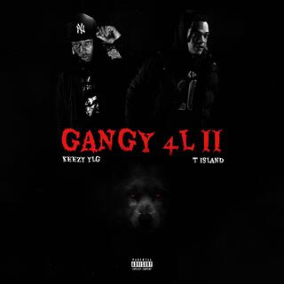 Gangy 4 L 2