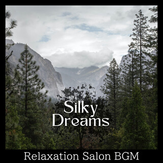 Relaxation Salon BGM