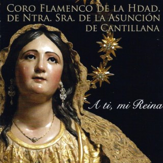 Coro Flamenco de la Hermandad de la Asunción de Cantillana