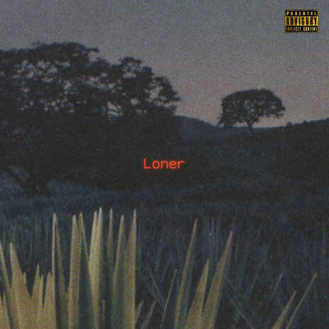 Loner | Boomplay Music