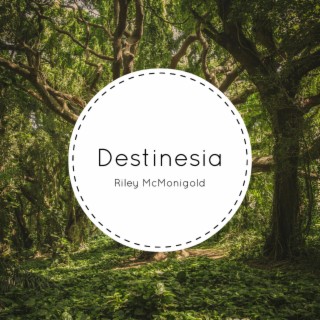 Destinesia