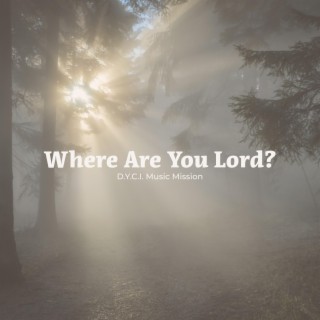 Where Are You Lord?