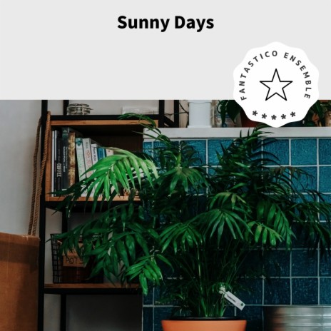A Sunny Day for a Drive | Boomplay Music
