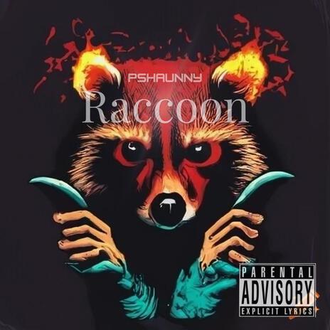 Raccoon | Boomplay Music