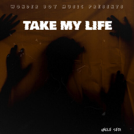 Take My Life | Boomplay Music