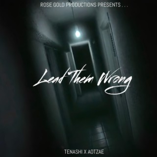 Lead Them Wrong ft. AOTZAE lyrics | Boomplay Music