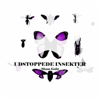 Udstoppede insekter