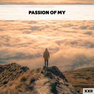 Passion Of My XXII
