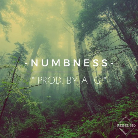 Numbness | Boomplay Music
