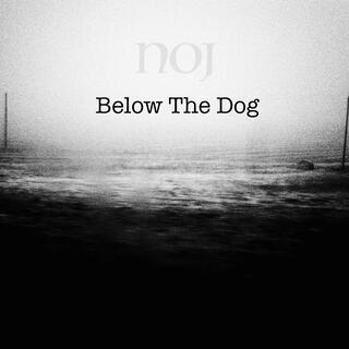 Below The Dog