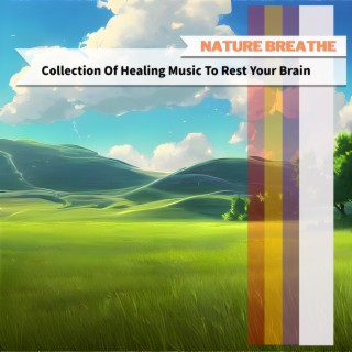 Collection Of Healing Music To Rest Your Brain