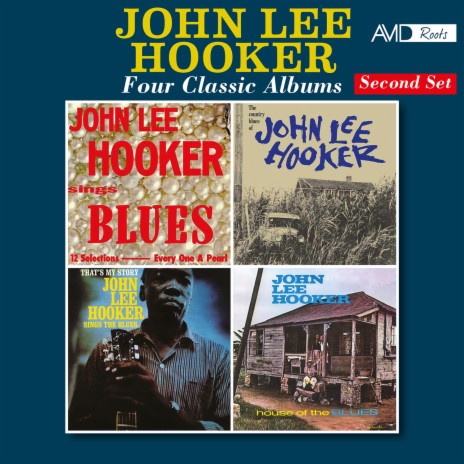 Good Mornin' Lil' School Girl (The Country Blues of John Lee Hooker) | Boomplay Music