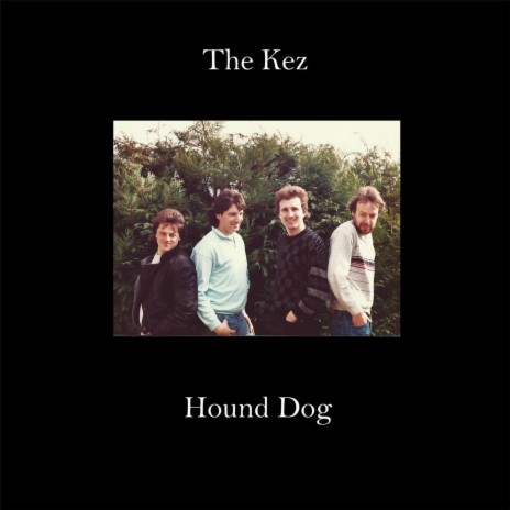 Hound Dog | Boomplay Music