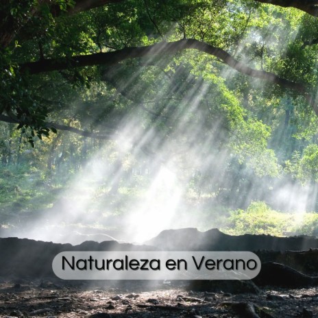 Naturaleza en Verano | Boomplay Music