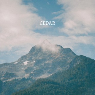 Cedar